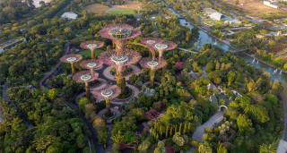 Gardens by the Bay nature park in Singapore